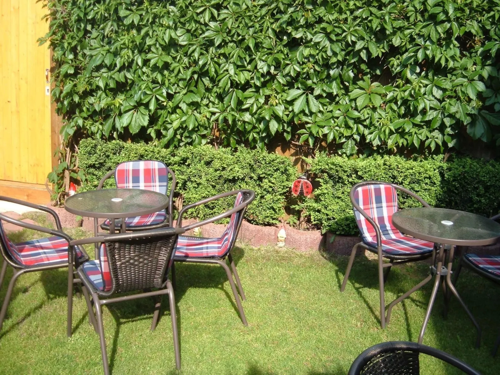 Wohnung in Wernigerode mit Garten