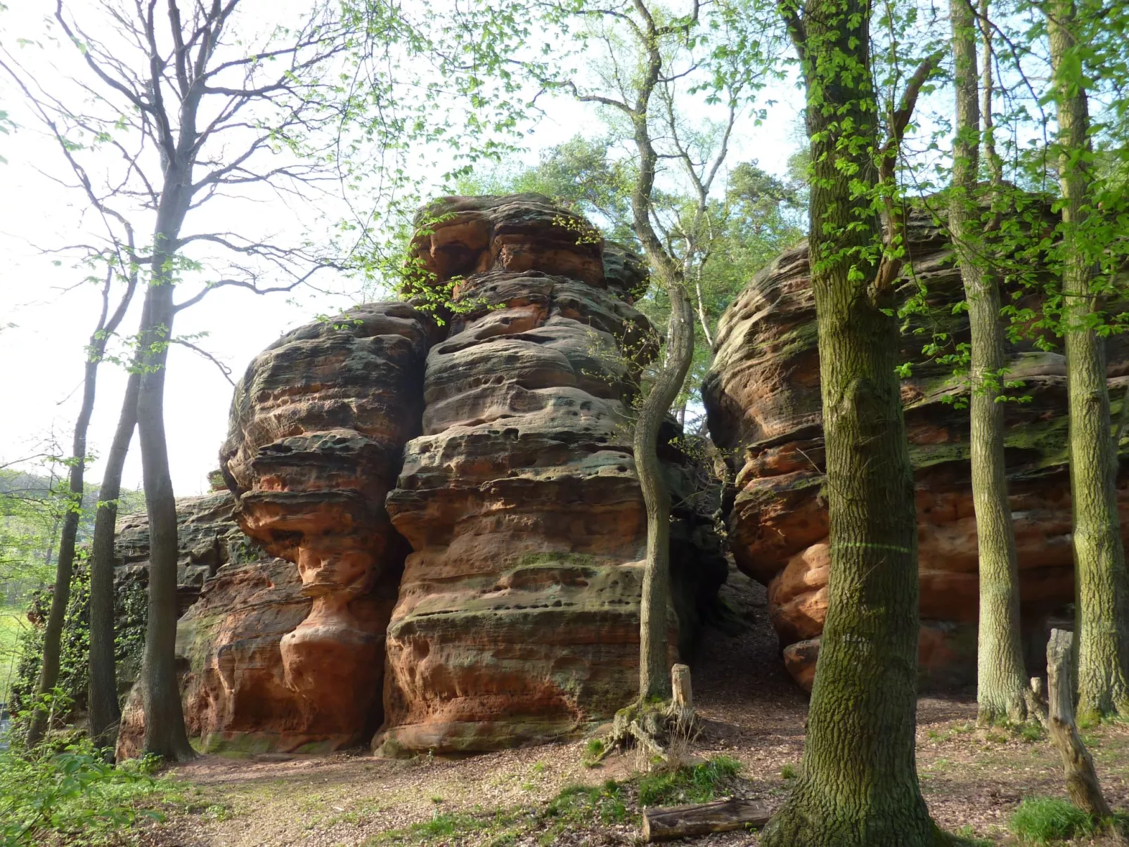 Eifelhaus4you-Buiten