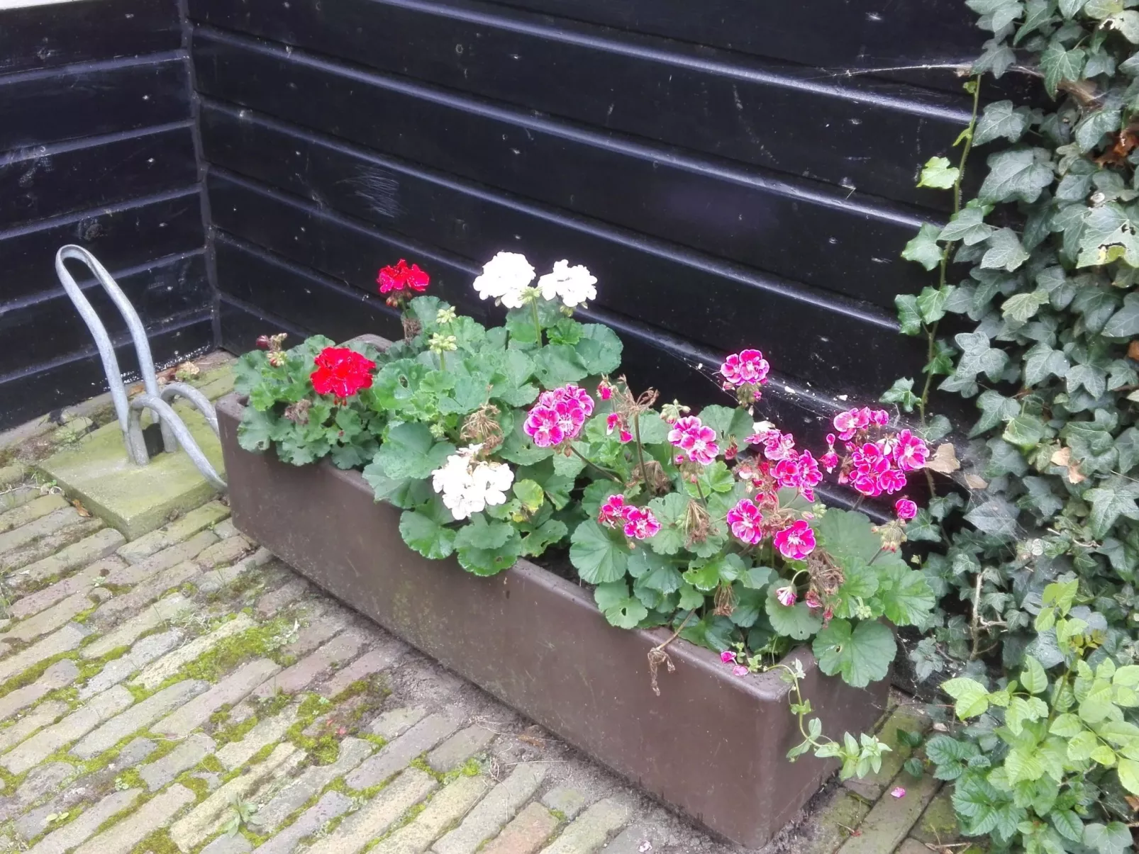 Zweifamilienhaus für sechs Personen