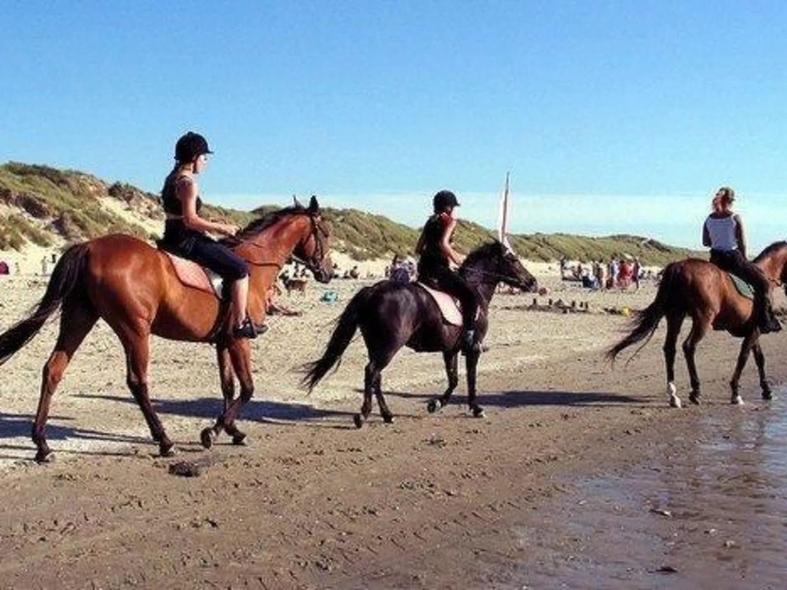 Gemütlicher Bungalow für 4 Personen