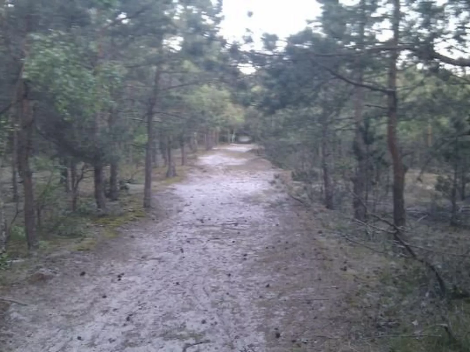 Haus in Gmina Postomino mit Garten und Terrasse