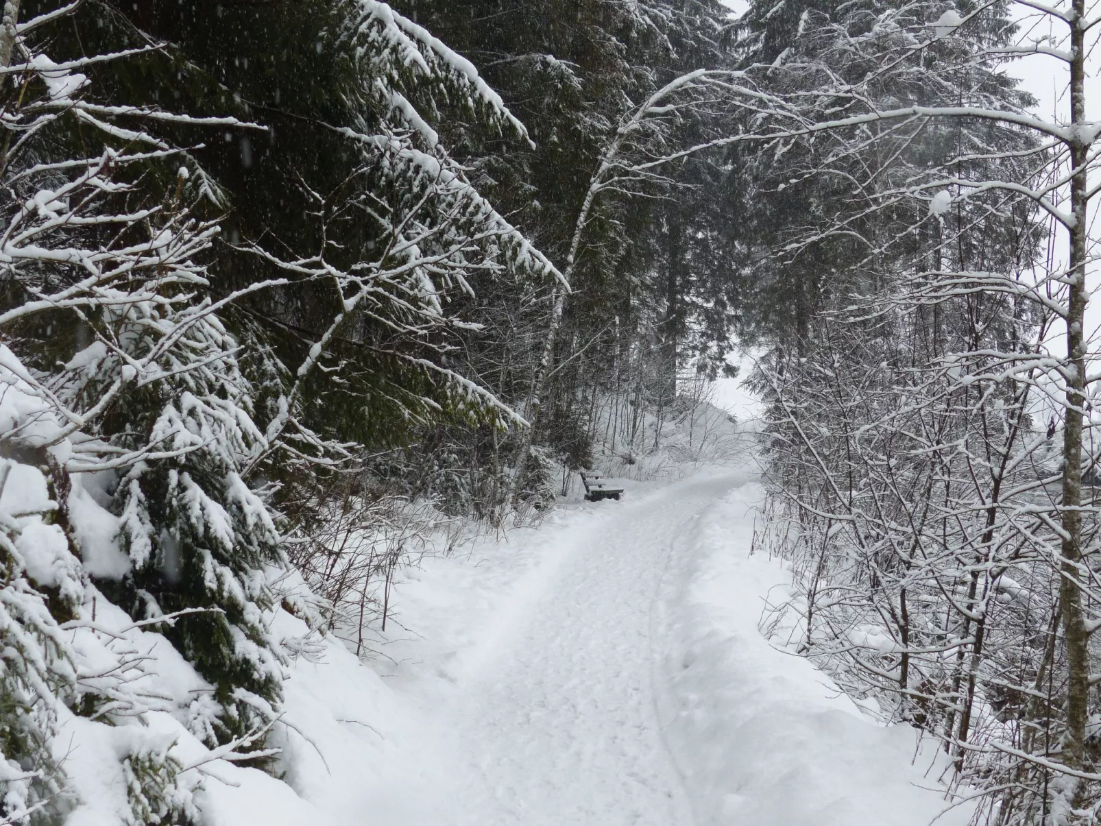 Wohnung in Bad Harzburg mit Garten-Buiten
