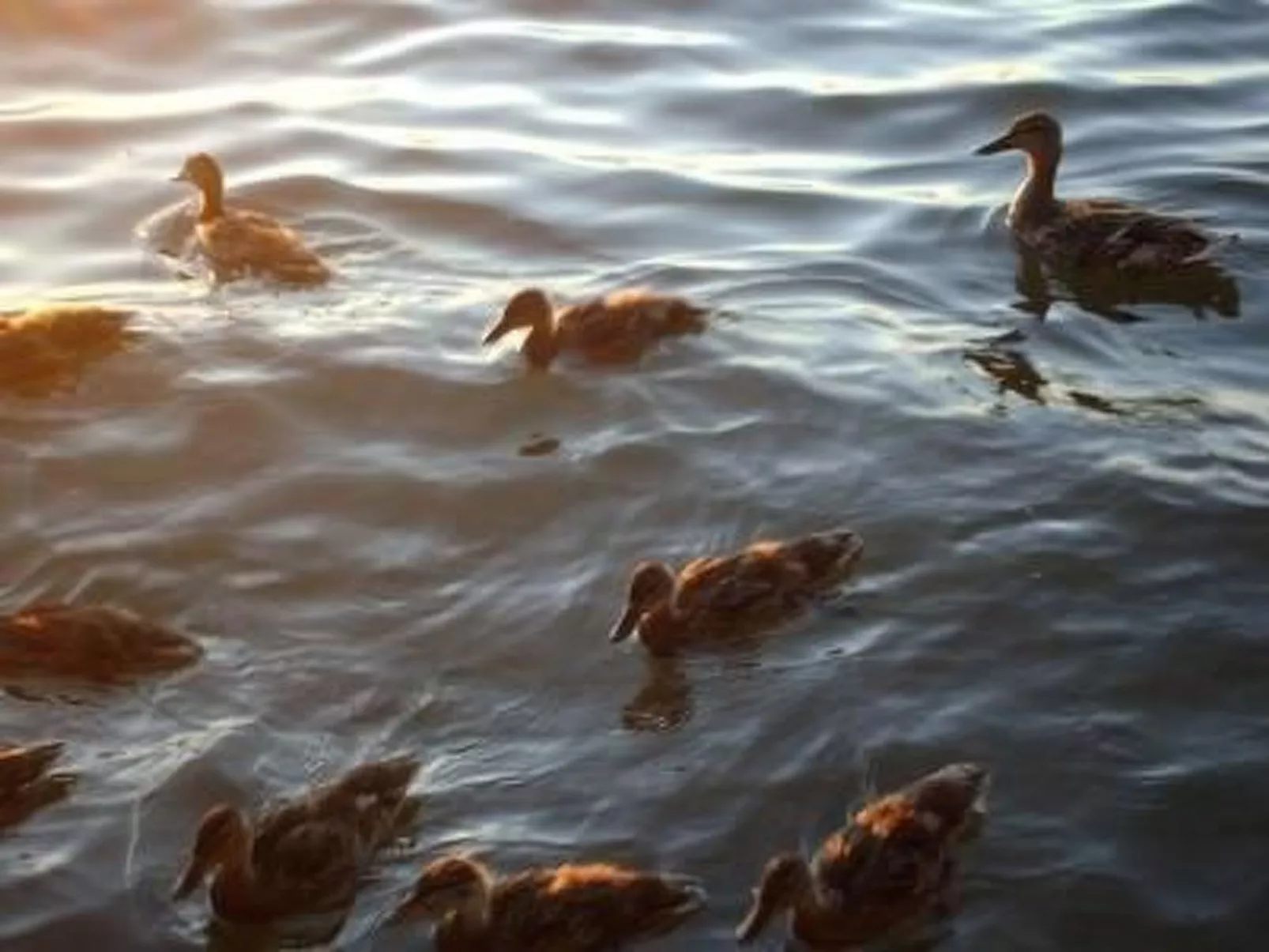 Uferpromenade-Buiten