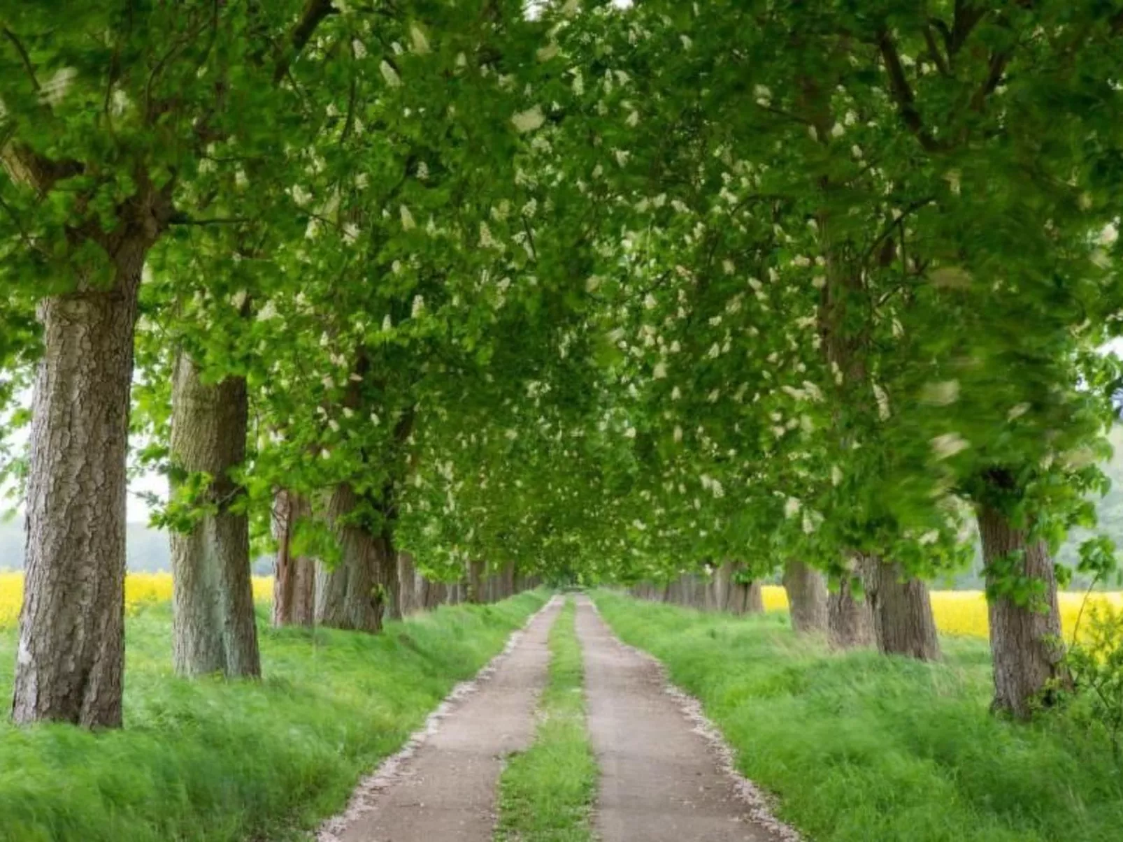 Erdgeschoss-Wohnung-Image-tags.info