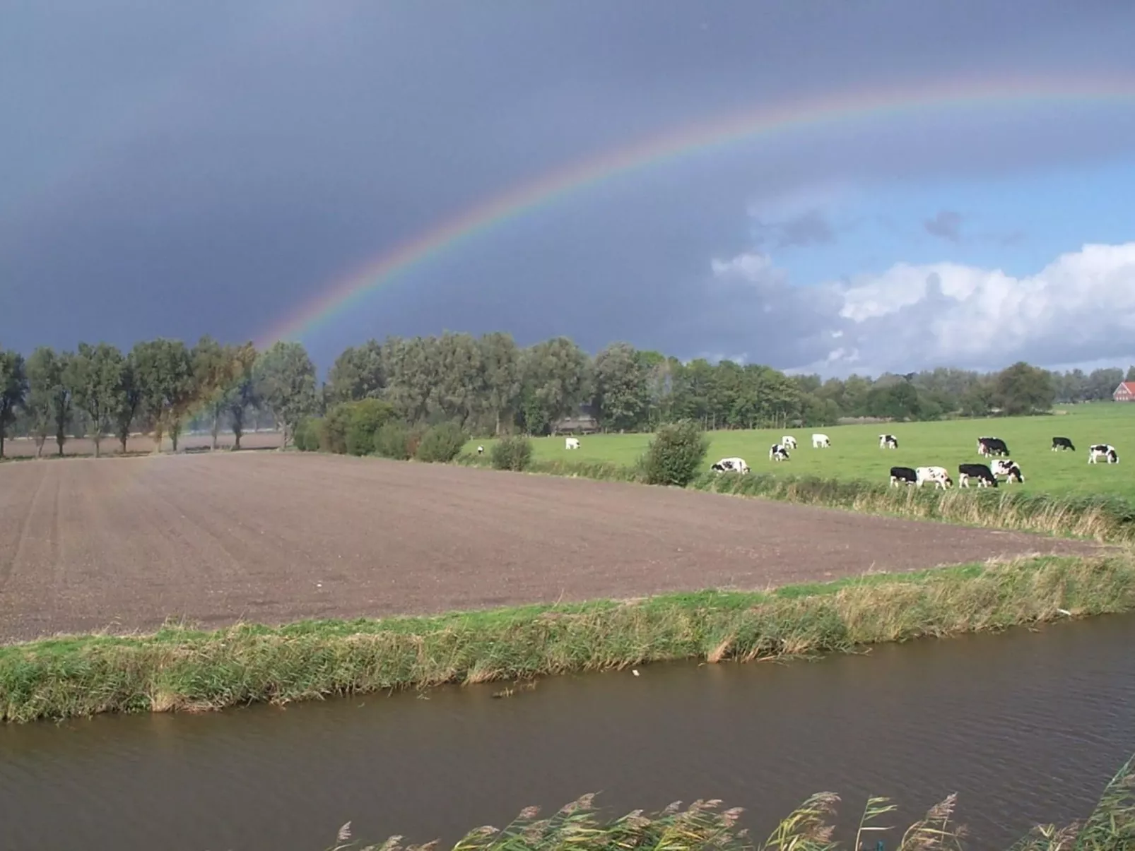 In Grimersum mit Grill und Garten-Buiten