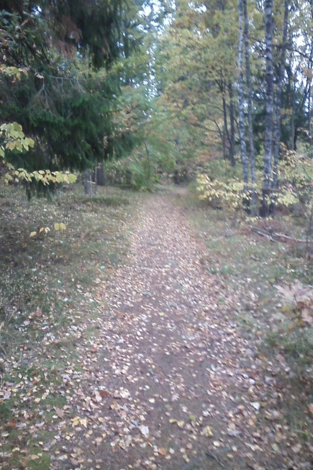 Mit Sauna und Kaminofen sowie Terrasse