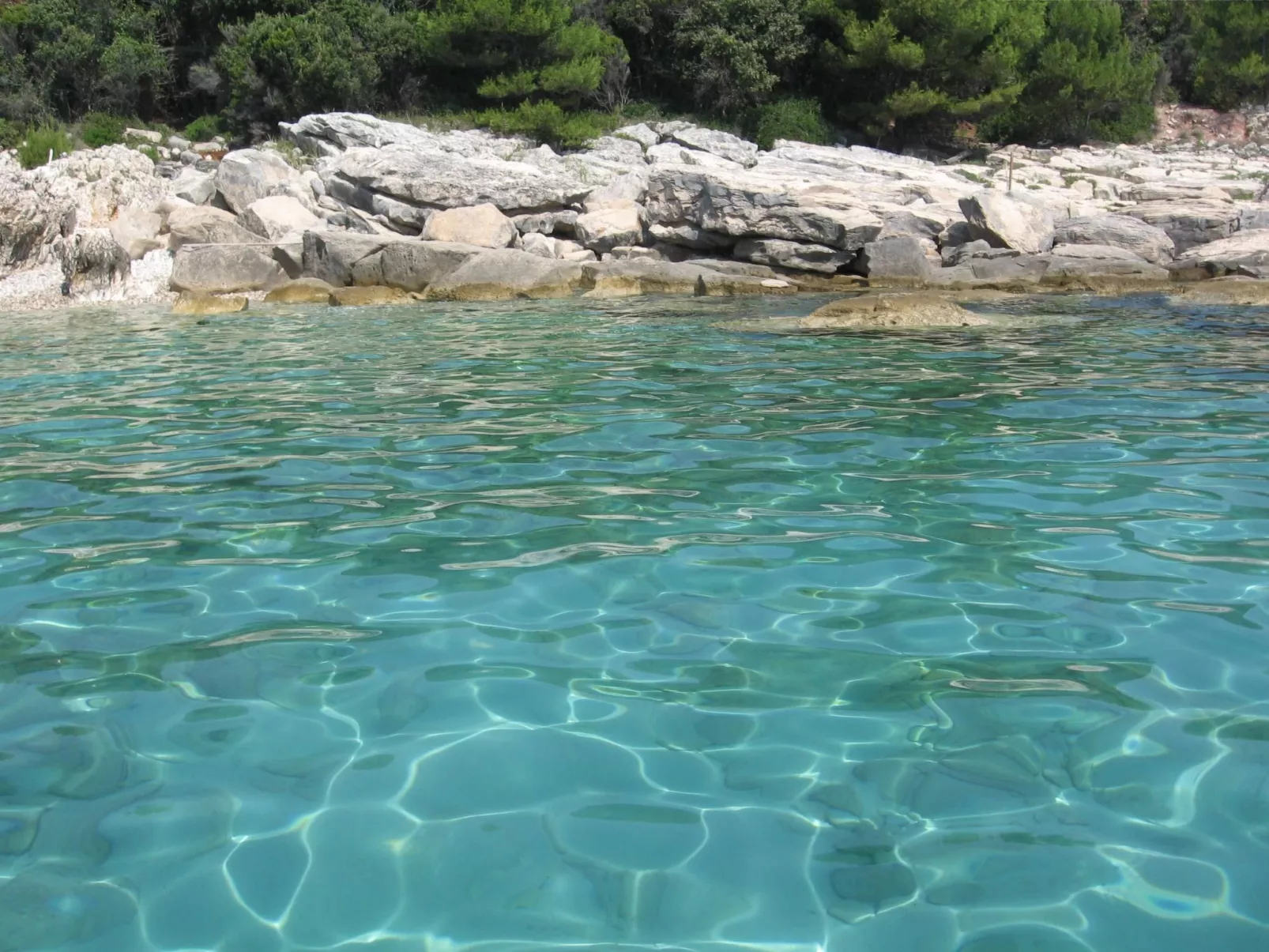 "Vickovi" mit Gemeinschaftspool