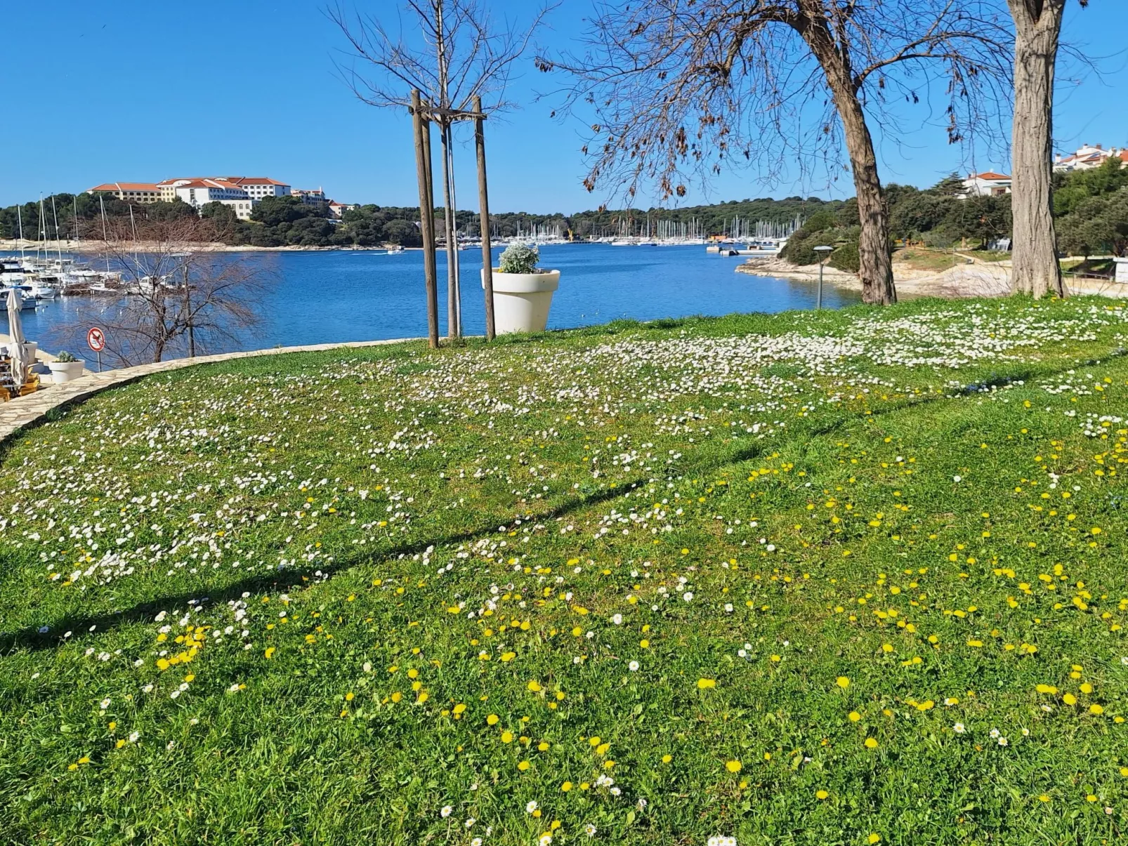 Geräumige charmante Wohnung in der Nähe des Meeres
