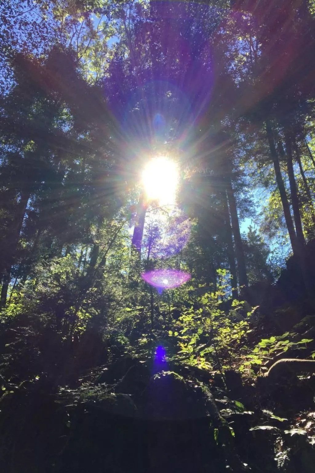 Gina's Apartment - Nähe zu See und Berge