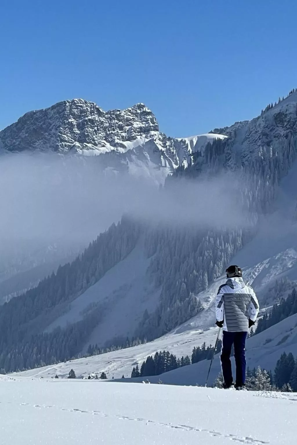 Berg-Ferienwohnung  im Chalet  Zirbeli