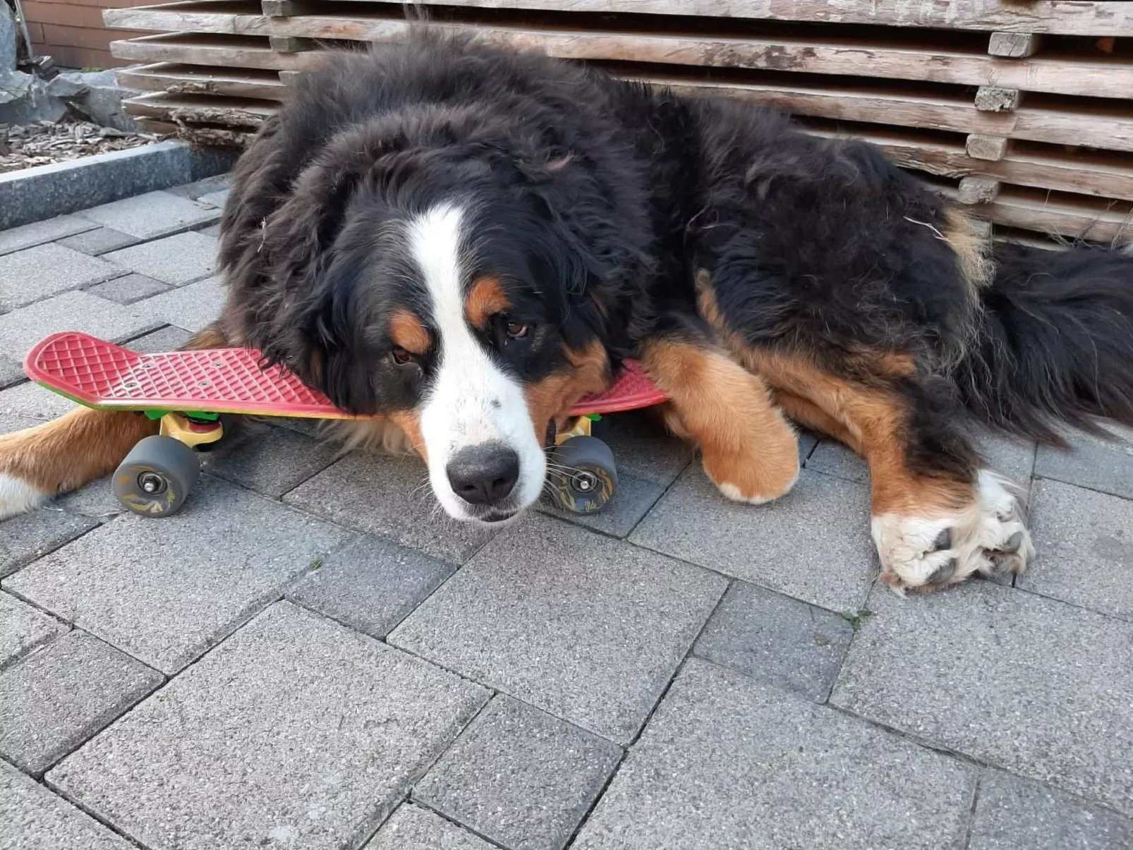 Haglere, Birkenhof (6-Bett)