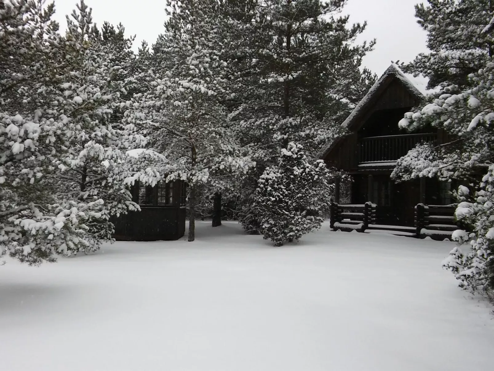 Fachwerkhaus "Kärbi"-Buiten