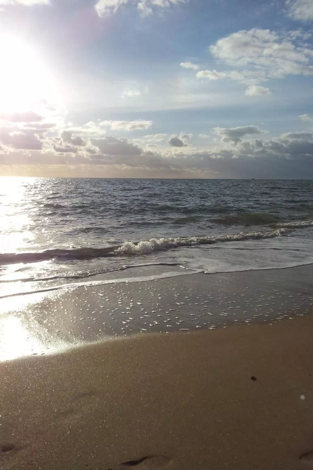 Genets d'armor - Privater Zugang zum Strand