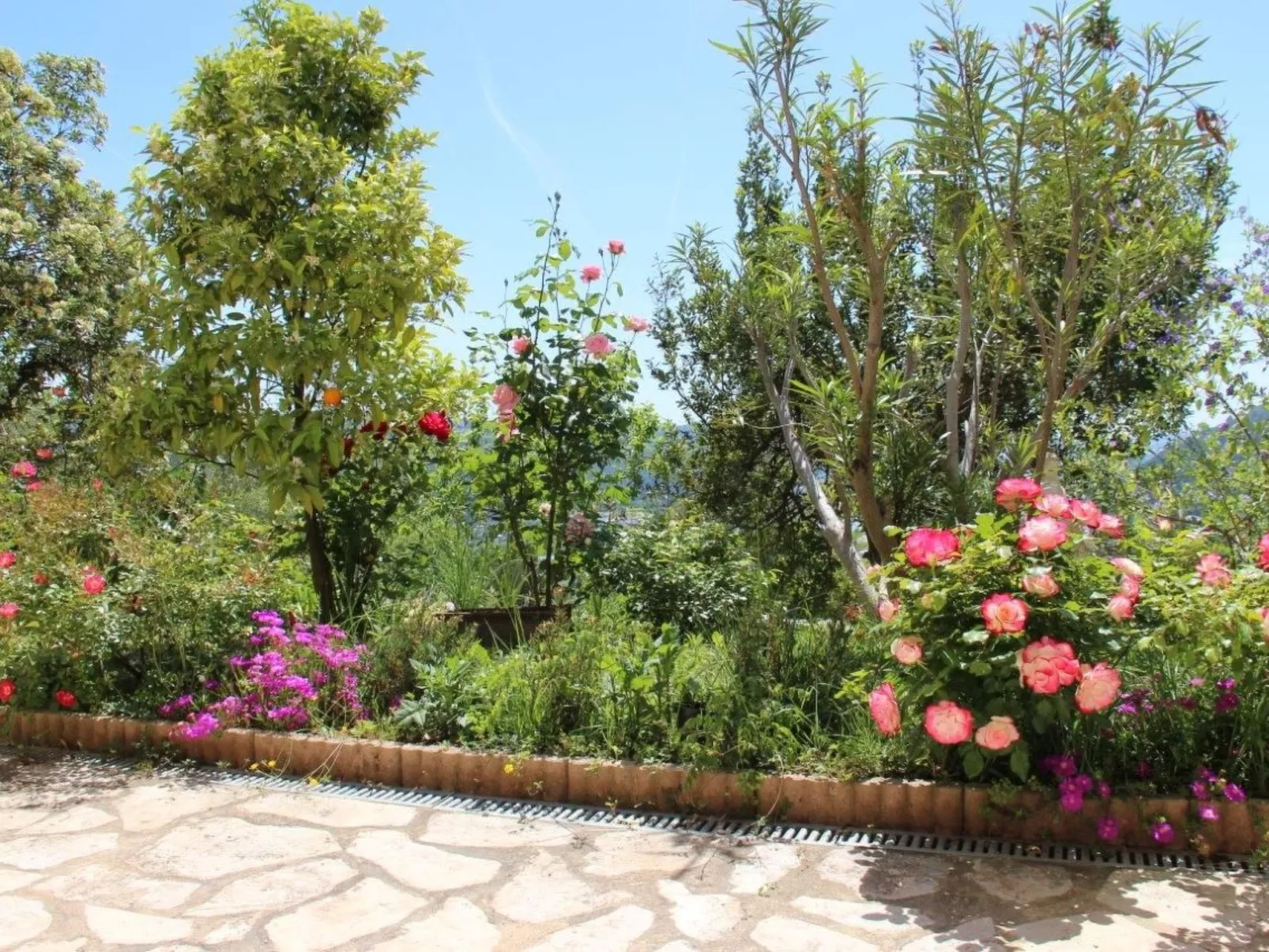 "Rocabel" mit Blick auf das Wasser