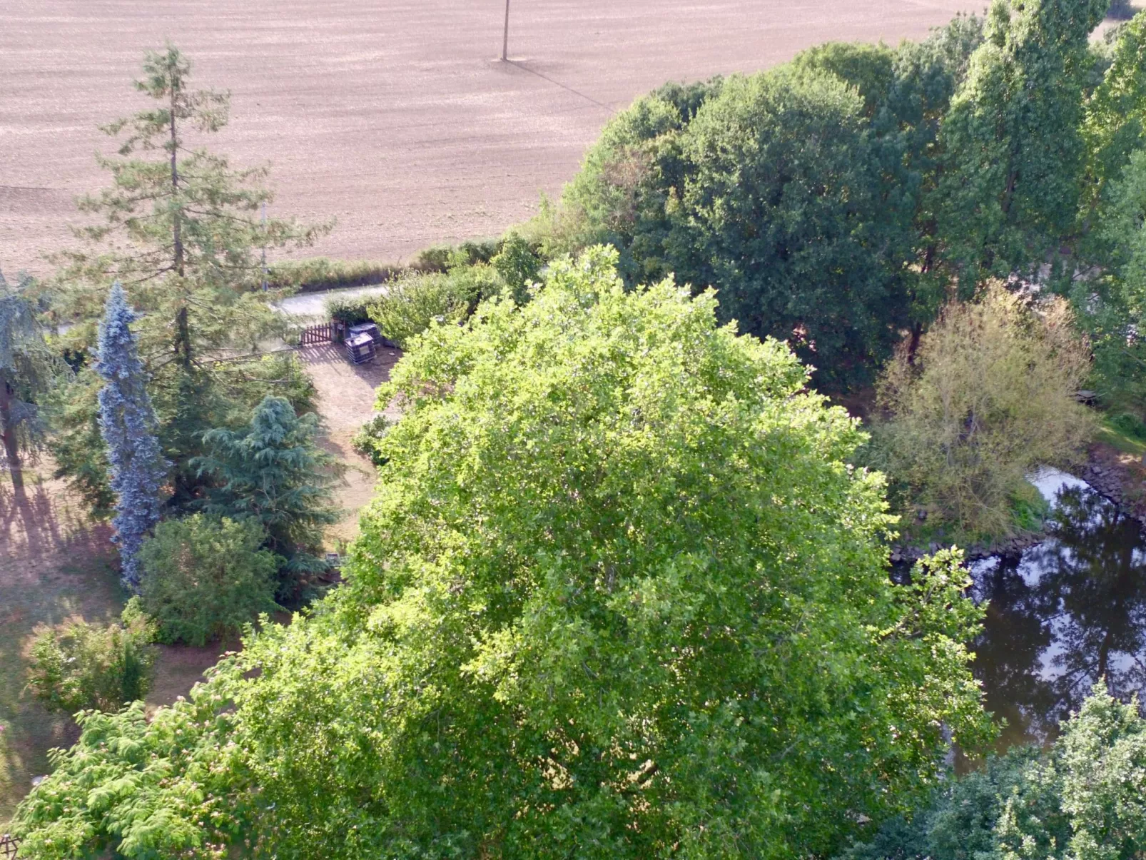 "Au Bas Chalonge Gîte"-Image-tags.info