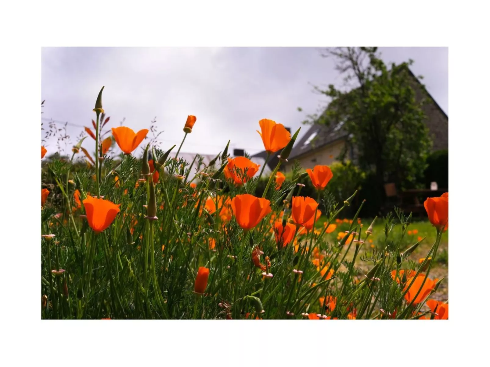 Domäne mit Terrasse