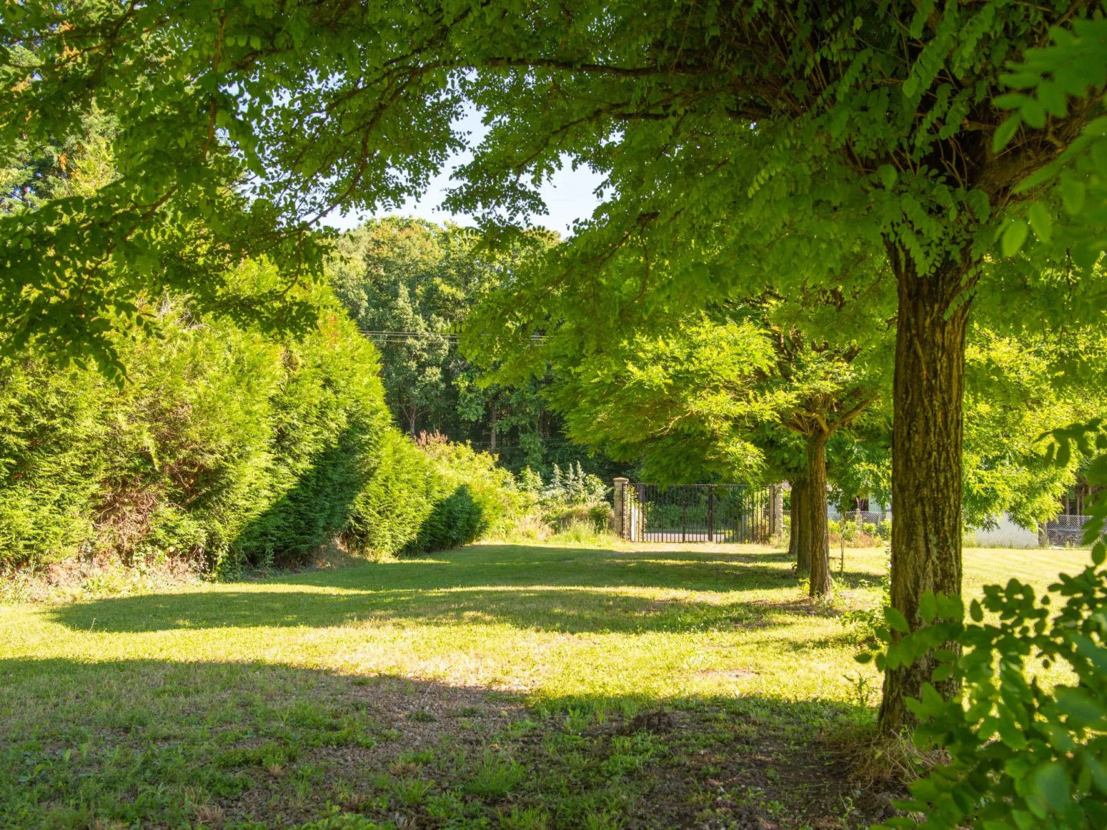 Der Ruf der freien Zone-Buiten