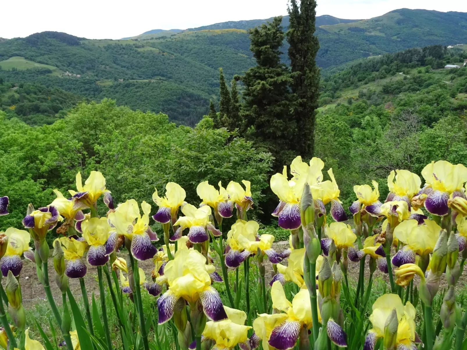 Gîte de Chapelèche Les Châtaigniers für 7 Pers.