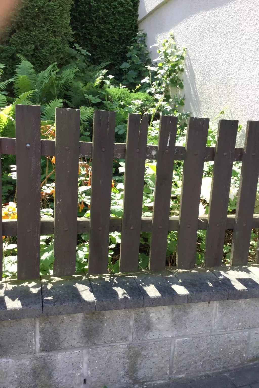 Wohnung Lydiavi-Buiten