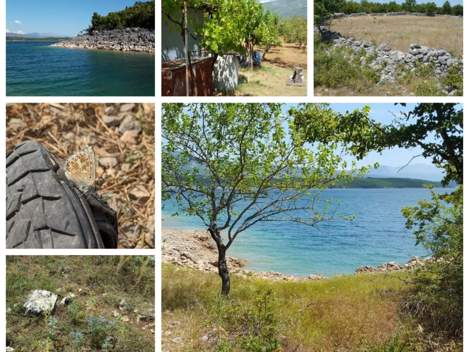 Anwesen "Poljicko imanje" mit eigenem Pool-Buiten