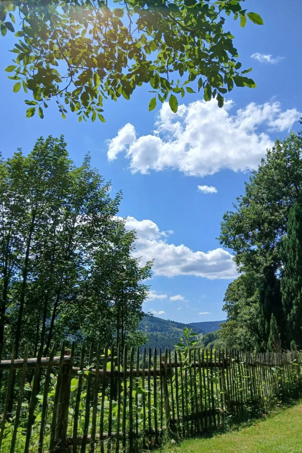 In Ventron mit eingezäuntem Garten