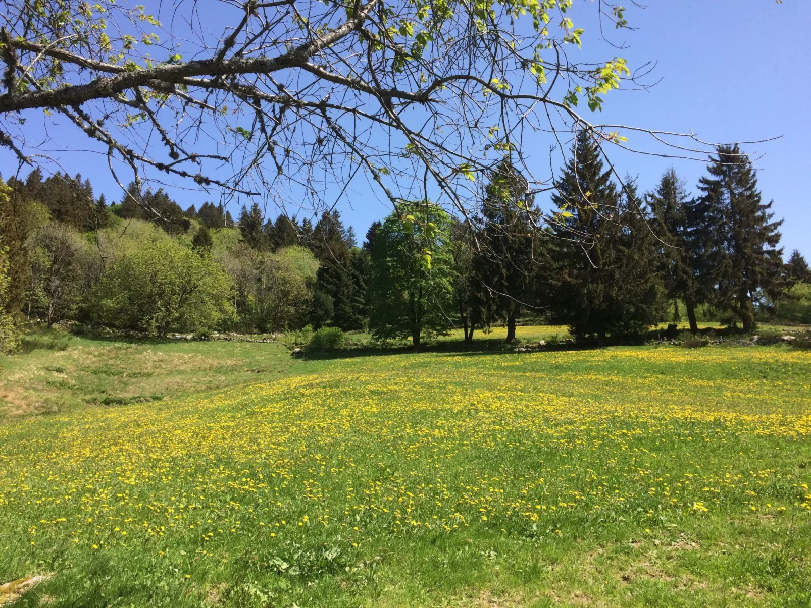 Domäne "Leons Garage"-Buiten