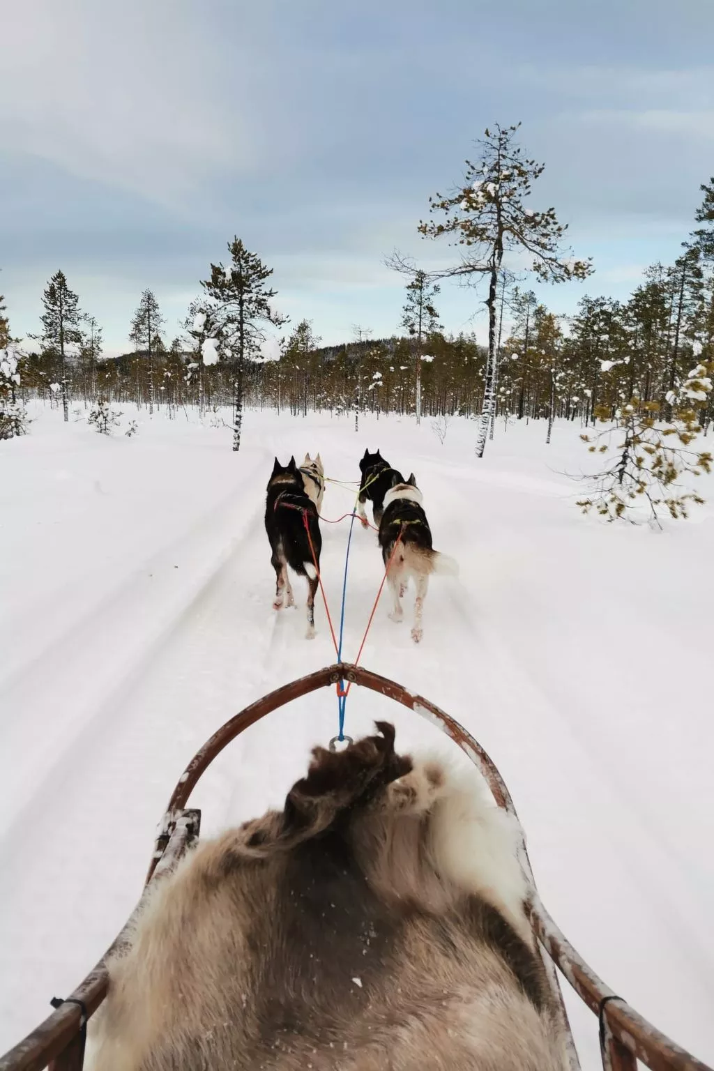 "Villa Tina" - Buiten