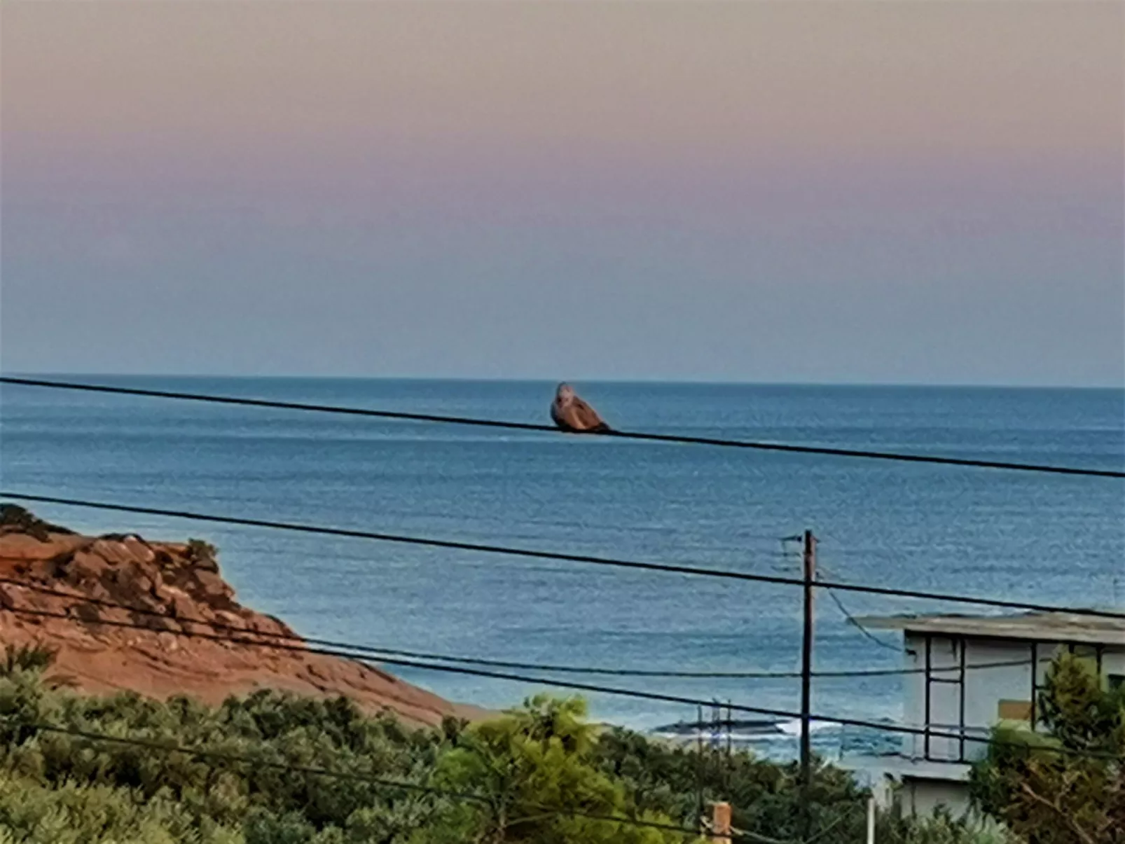 Wohnung mit Gartenblick, Kreta, Ierapetra-Buiten