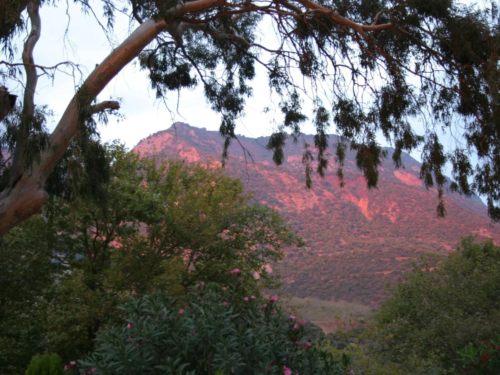 Spiti Louloudia-Image-tags.info