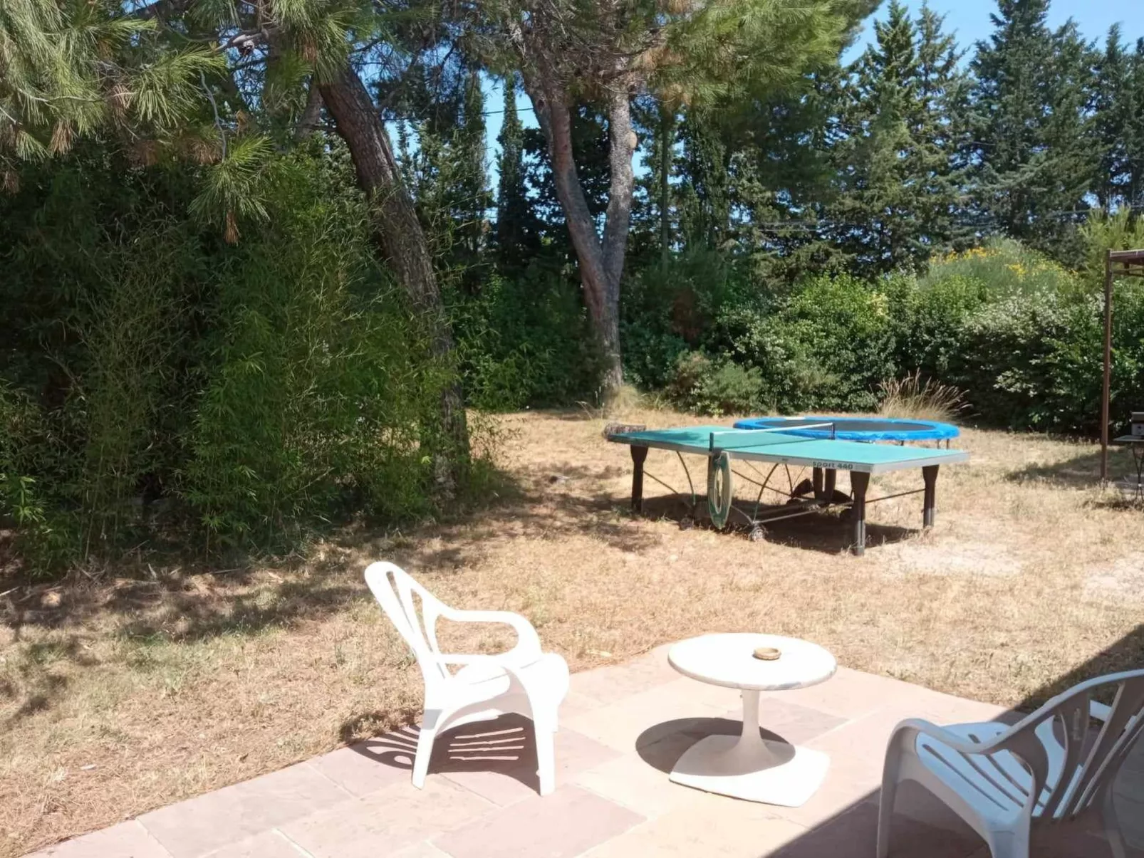 La petite maison sous les pinins-innenpool-Buiten