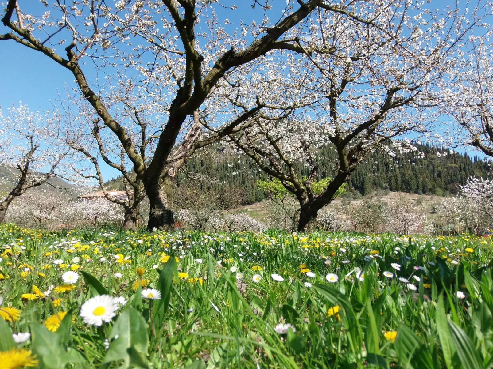 Anwesen mit privatem Garten und Grill-Buiten