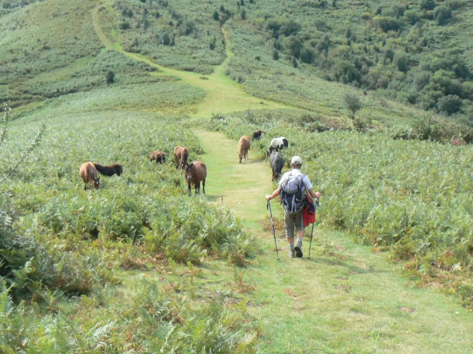 Fewo mit Terrasse-Image-tags.info