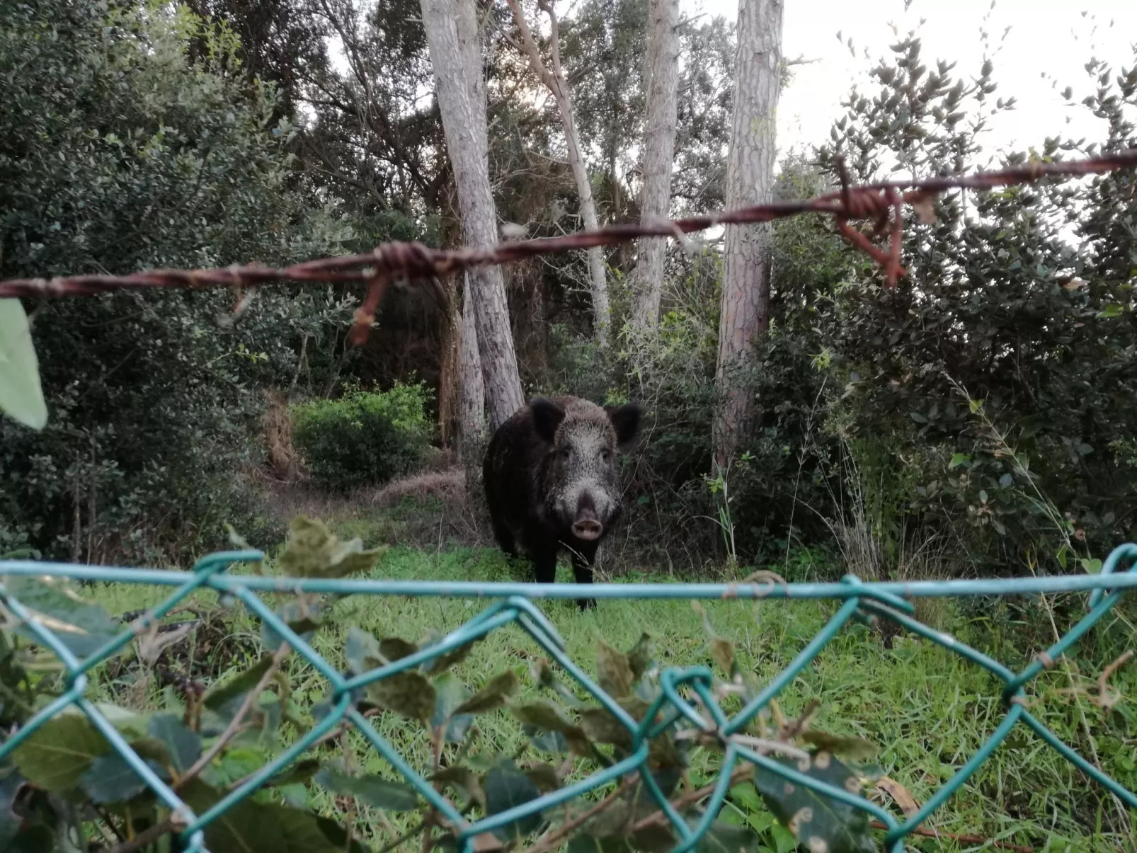 'Villa Paradisino-Image-tags.info