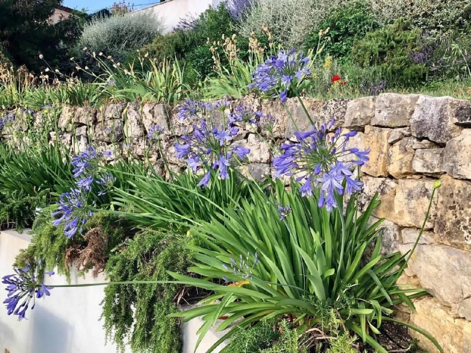 Côte d'Azur ganze Villa beheizter Pool Meerblick