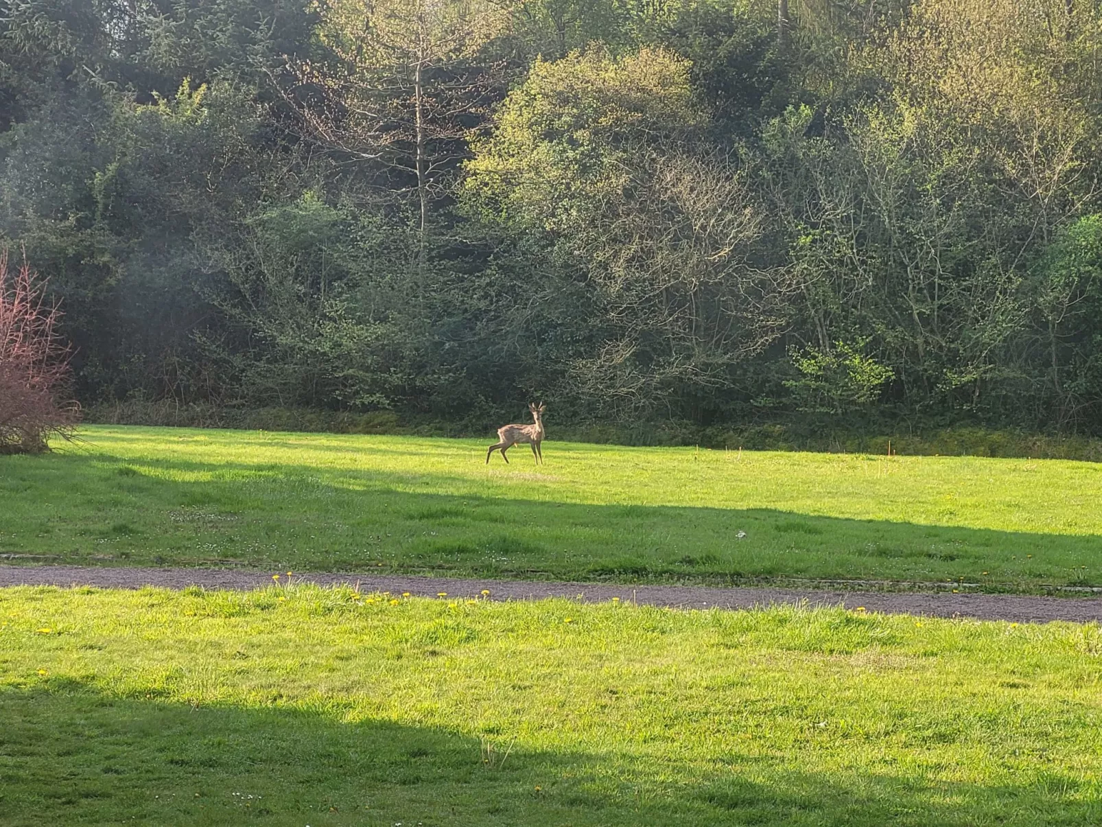 Renoviertes Ferienhaus in der Nähe von Cabourg-Deauville-Lisieux
