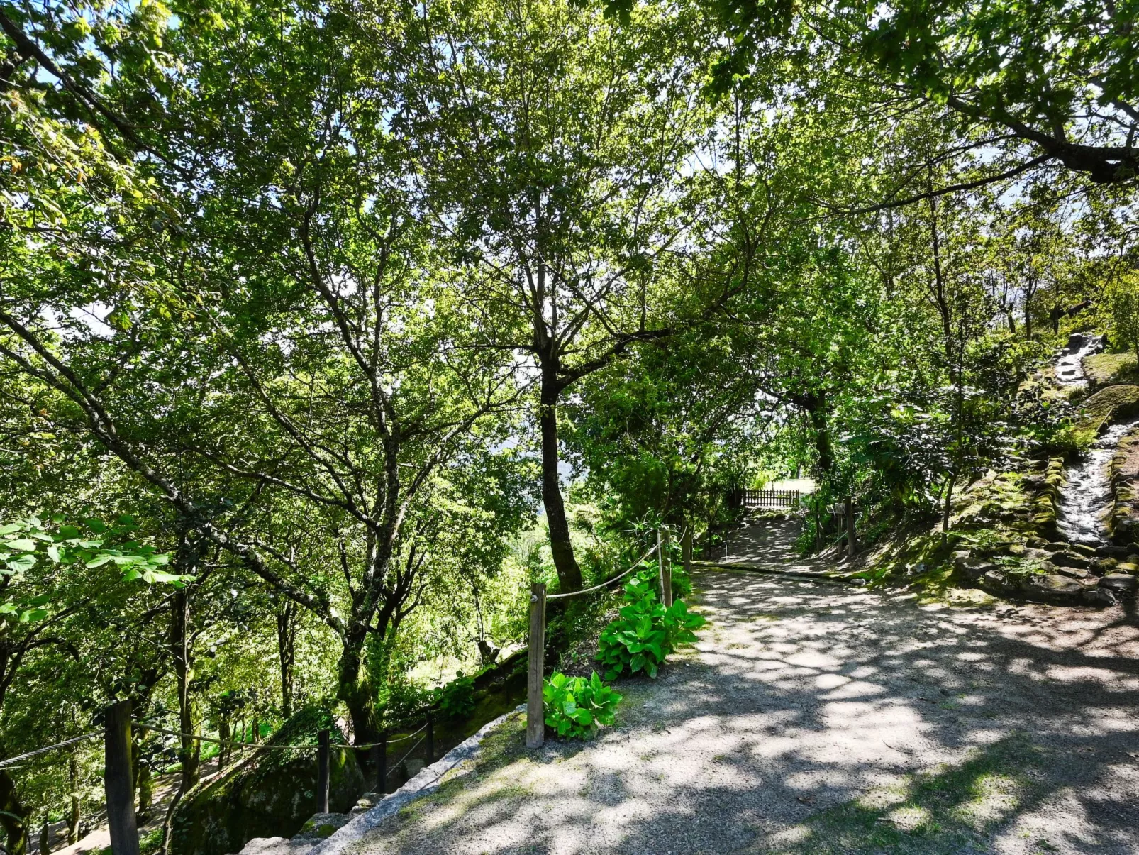 Casas das Olas 2 - Großartige Aussicht, 2 Pools, idealer Ort zum Entspannen und-Buiten