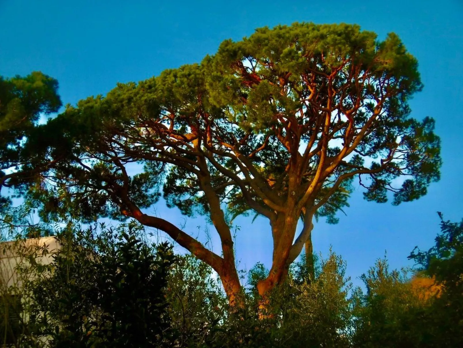 Appartement mit Infinity-Pool-Image-tags.info