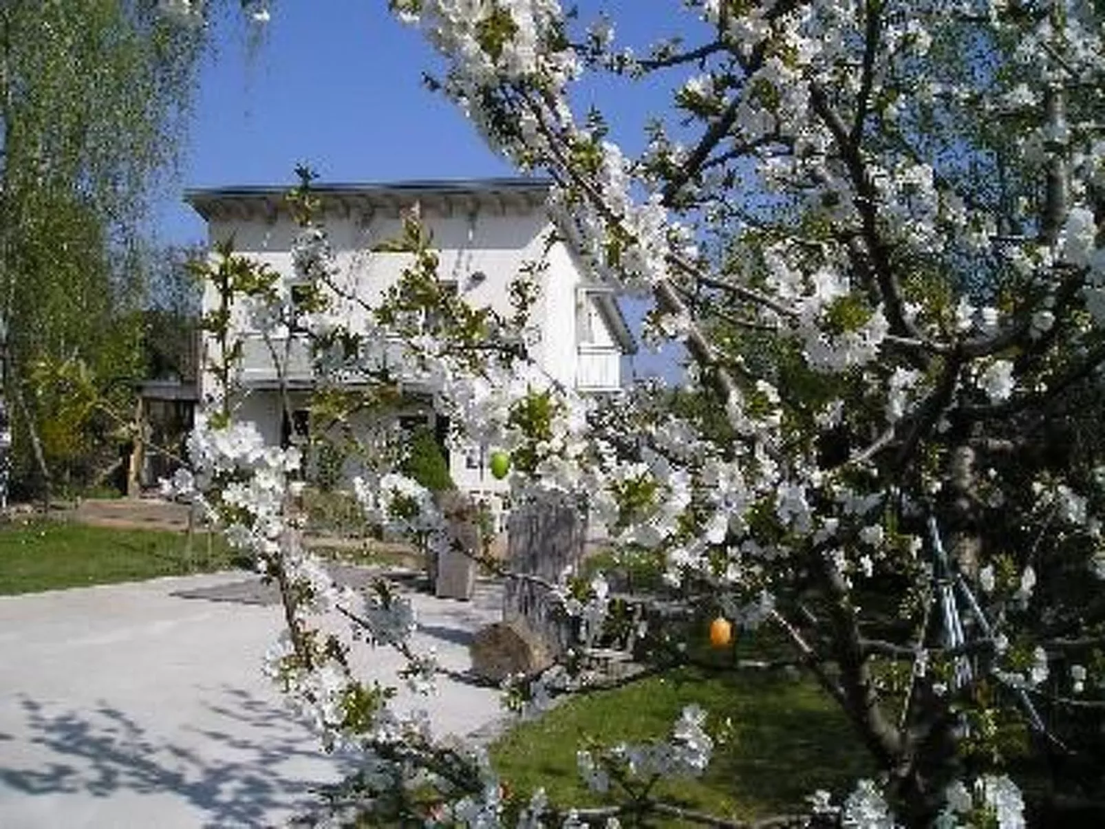 Moderne Erdgeschoss-Wohnung mit Terrasse