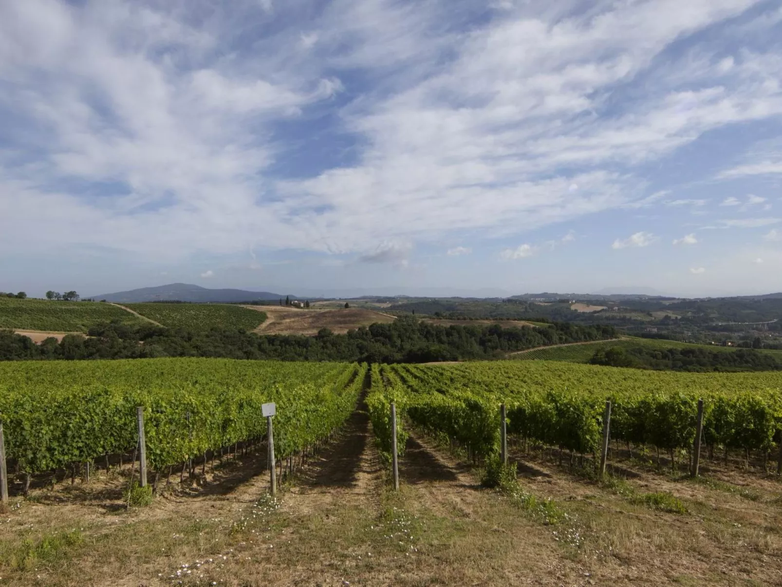 "Ciclamini capponi-Buiten