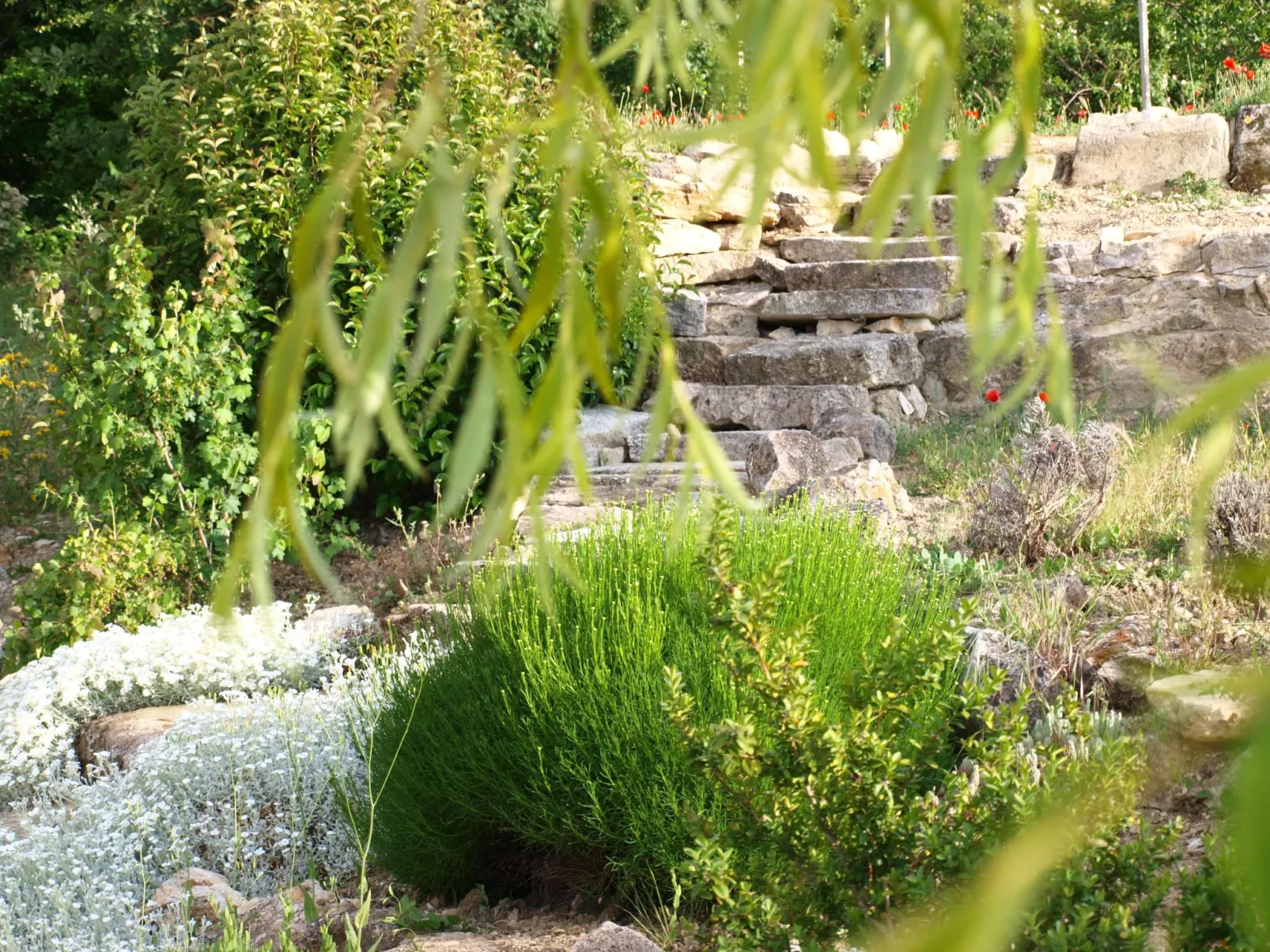 Provenzalisches Ferienhaus mit Charme auf dem Land mit Pool