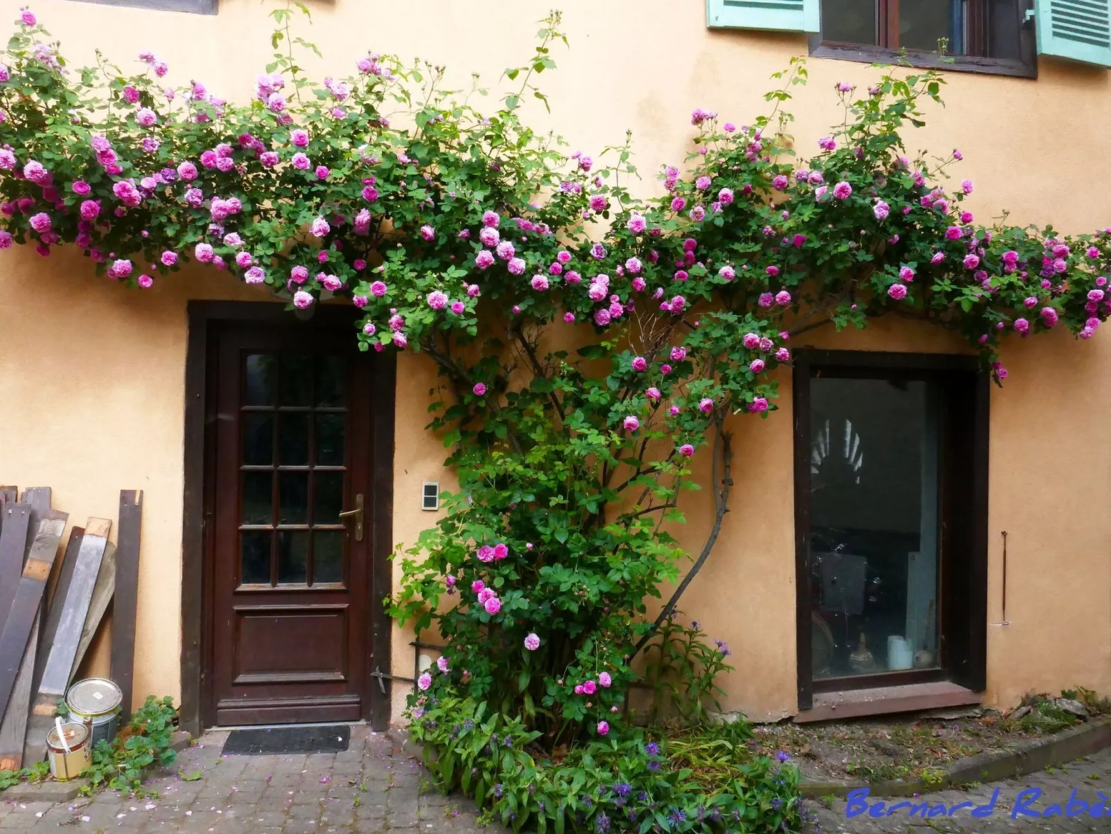 1ed-Face Vosges,au Sud,coeur Vignoble,Calme,WiFi-Buiten