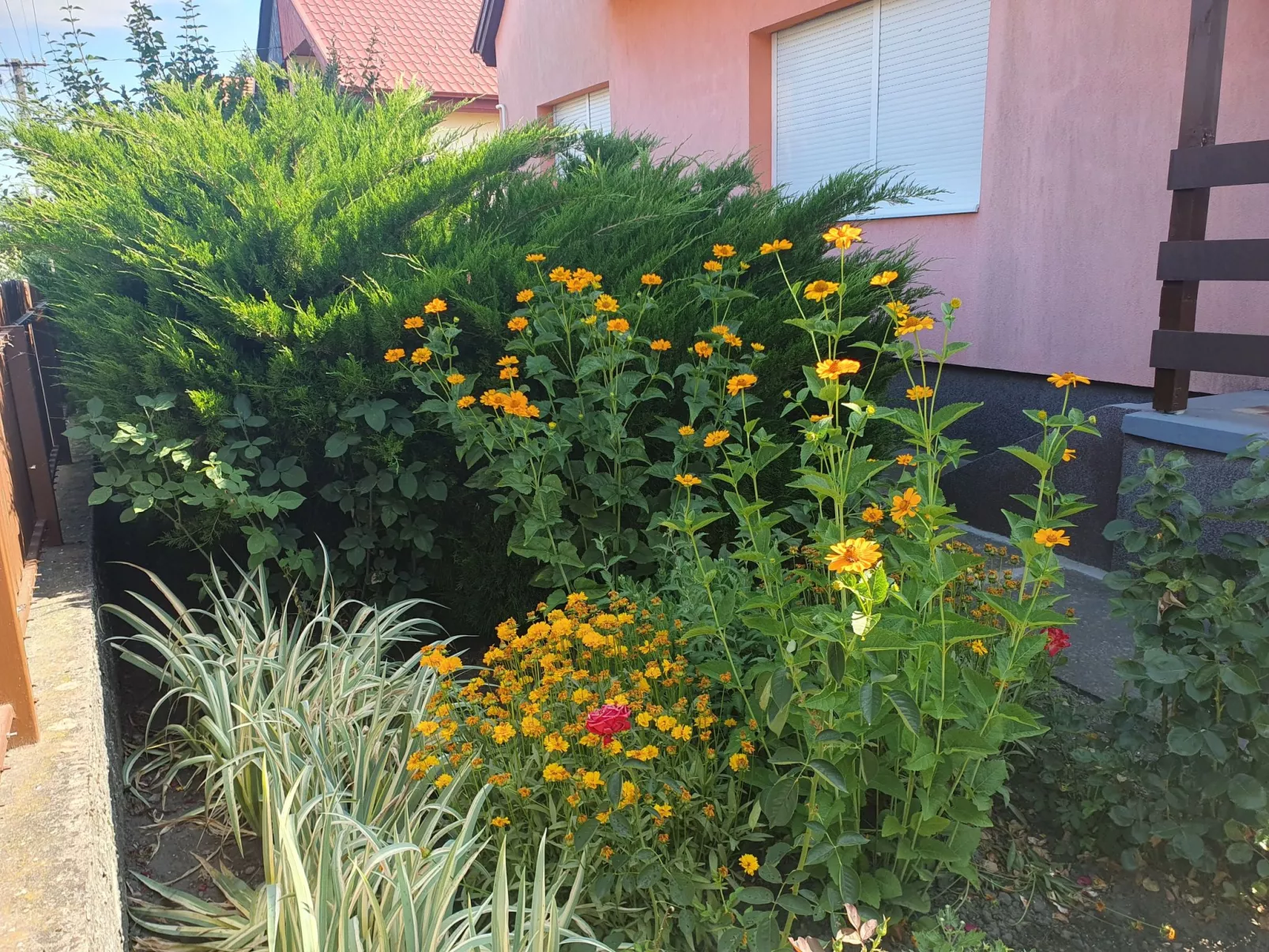 Mit Blick auf das Wasser-Buiten