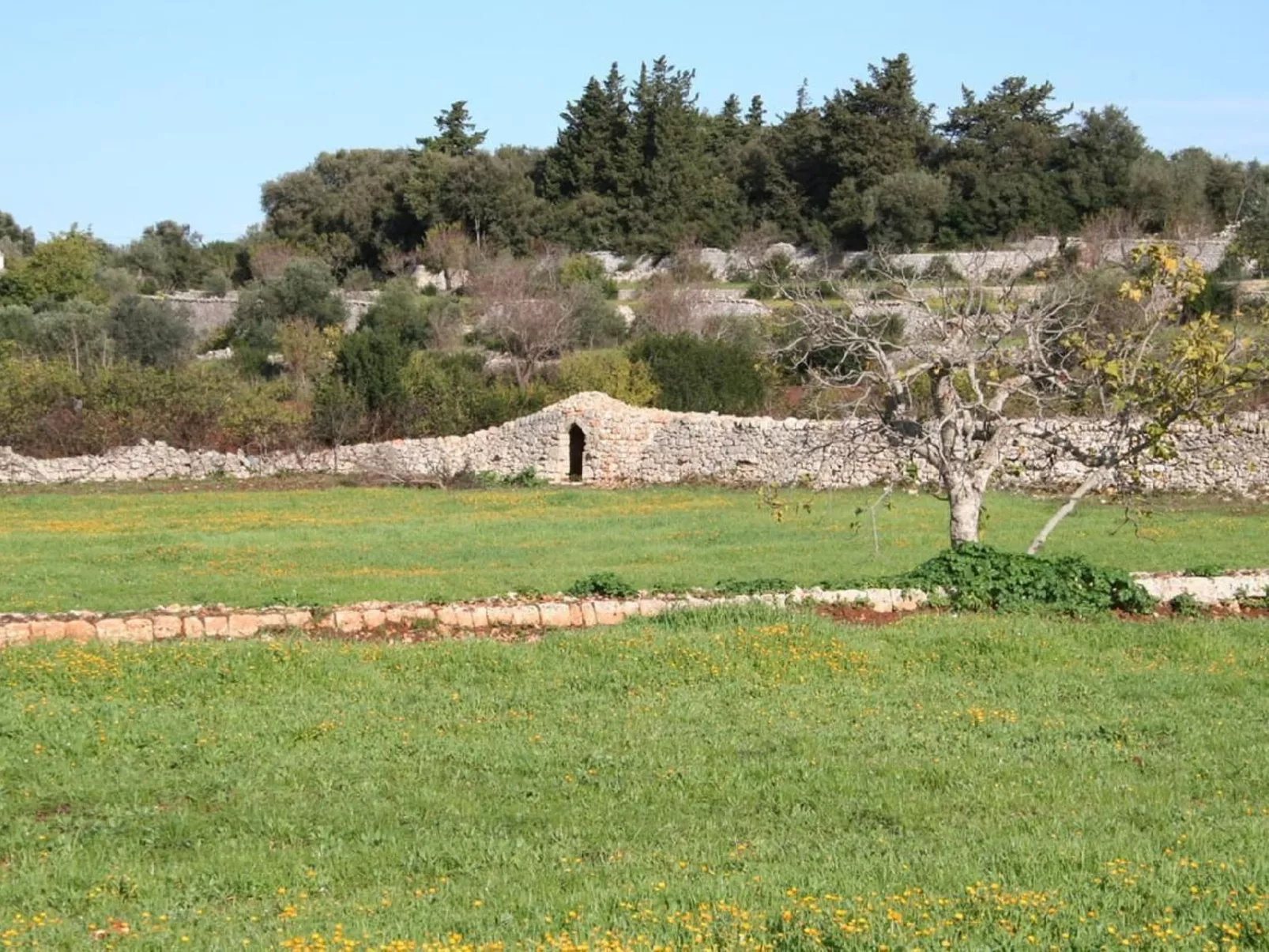 Landhaus in Ostuni mit privatem Pool