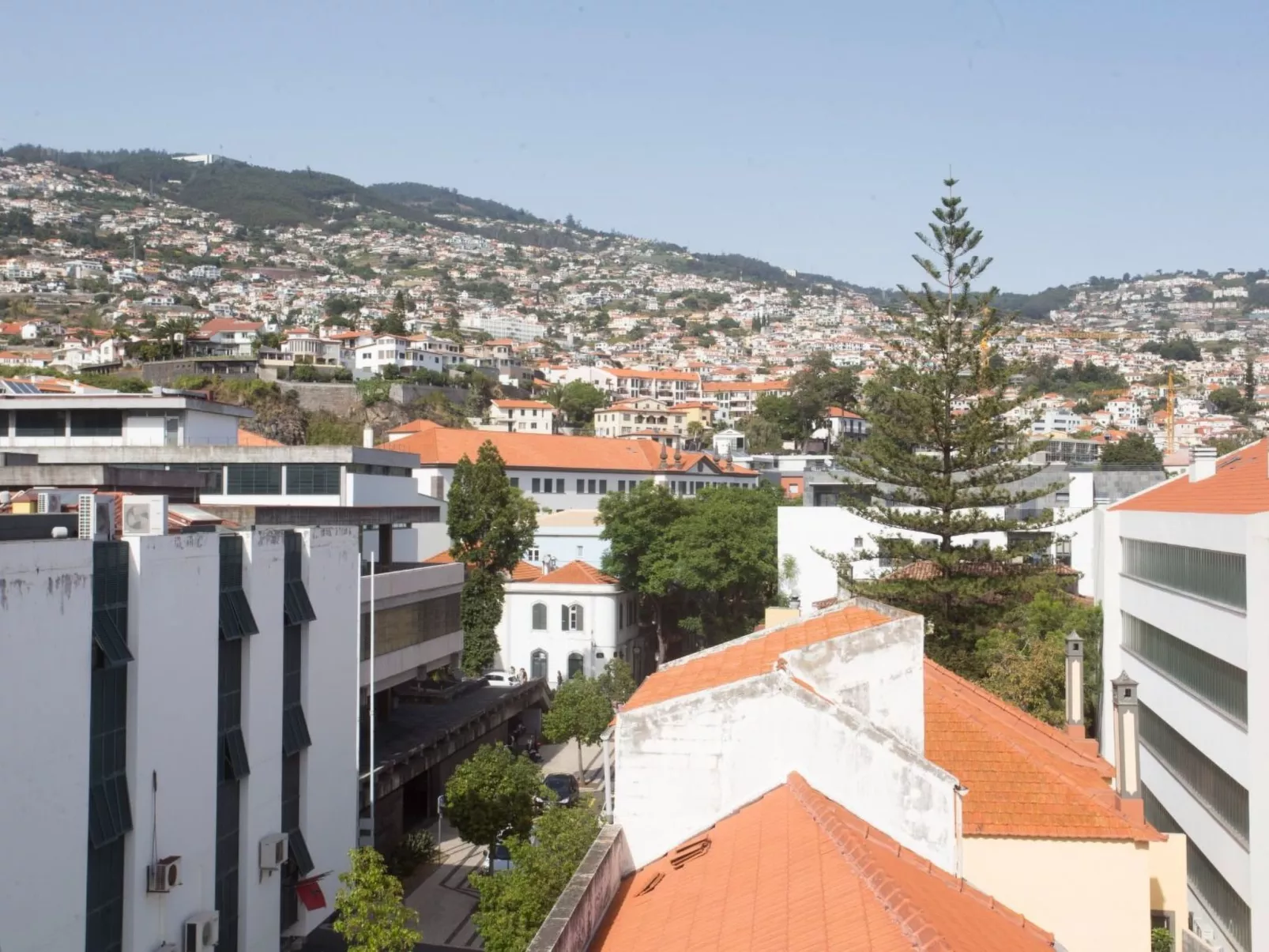 "BJ Apartment Funchal III"-Image-tags.info