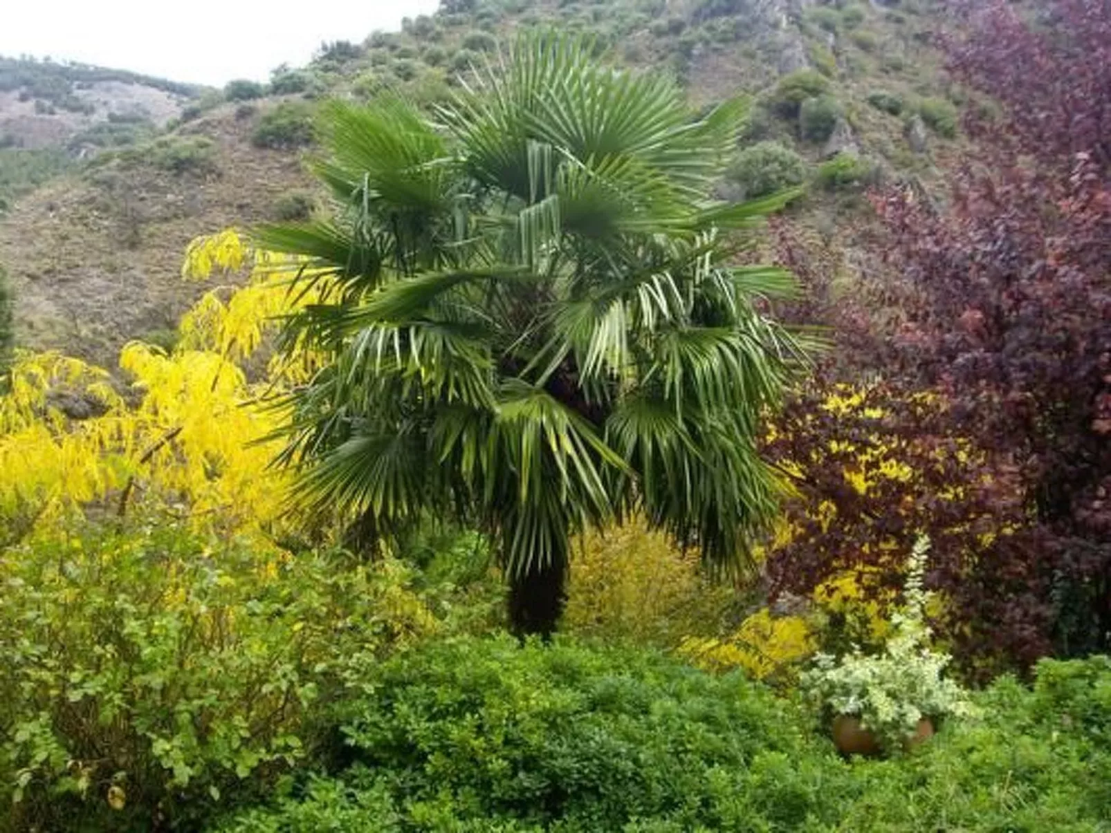 La Casita-Image-tags.info