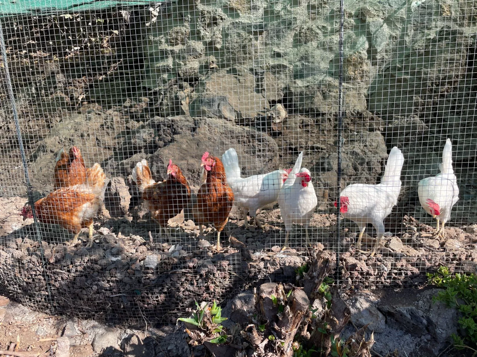 La Casita mit gemeinschaftlichem Wellnessbereich-Buiten