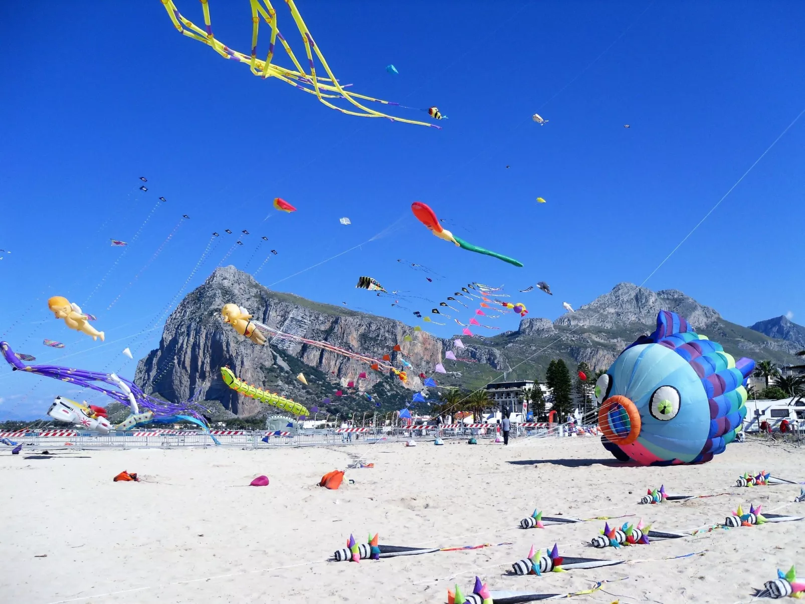 Casa Rosita' Wohnung mit Privatparkplatz-Omgeving