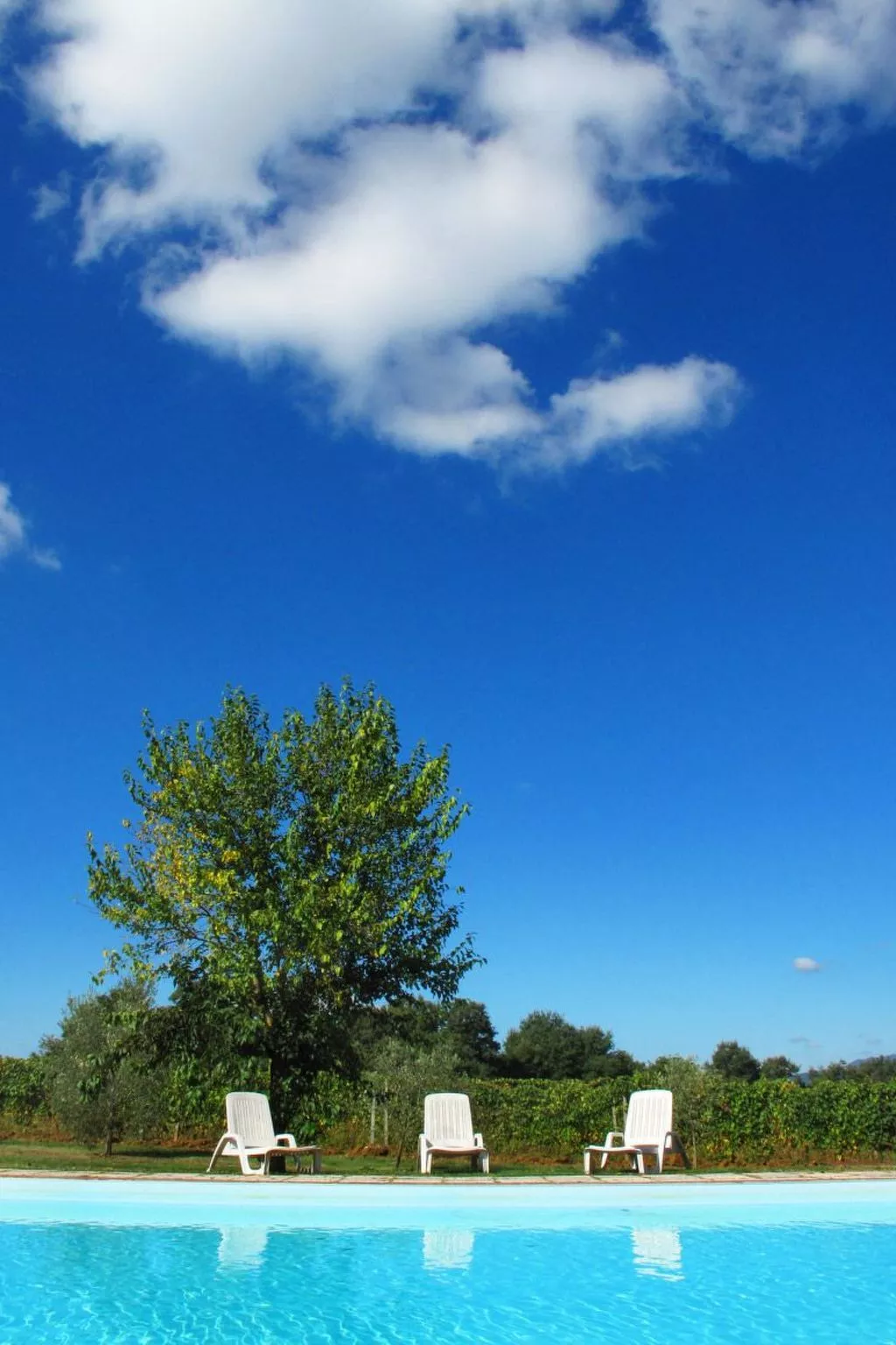 In Pomarance mit Großem gemeinsamem Pool-Image-tags.info