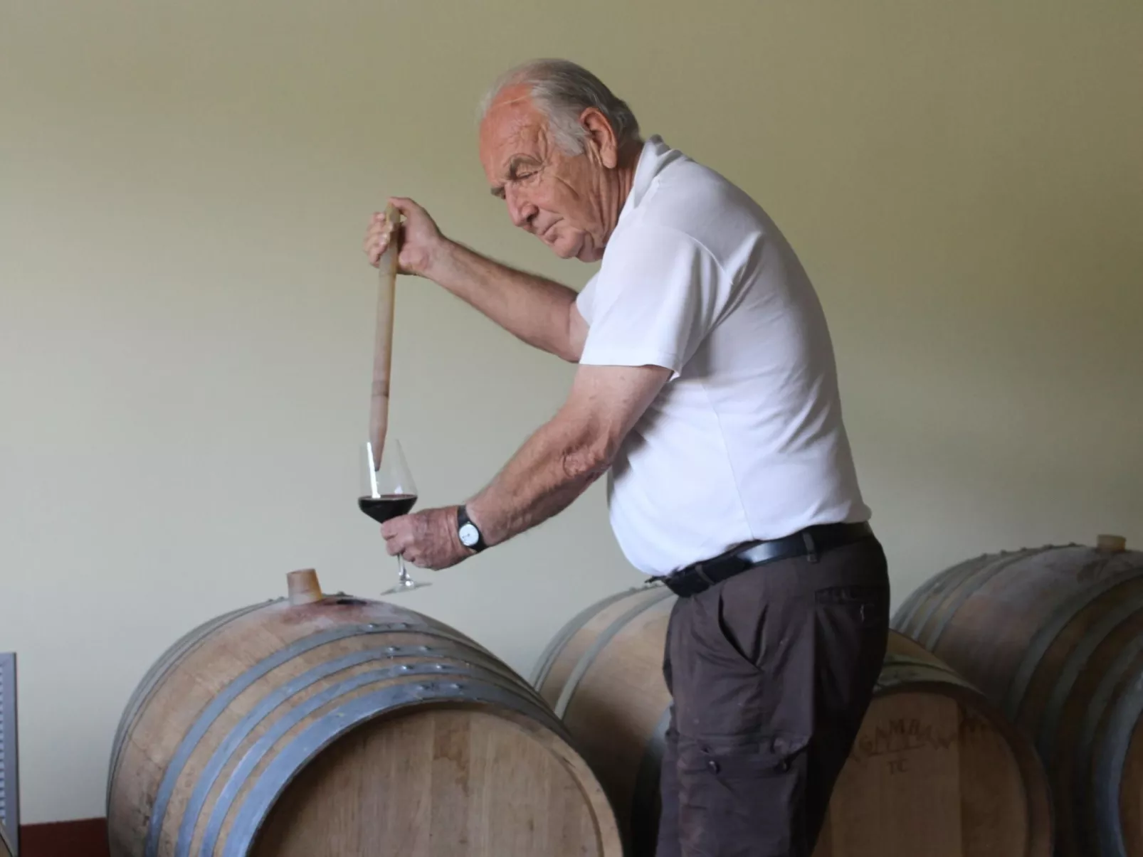 'Barbera' mit Pool-Binnen