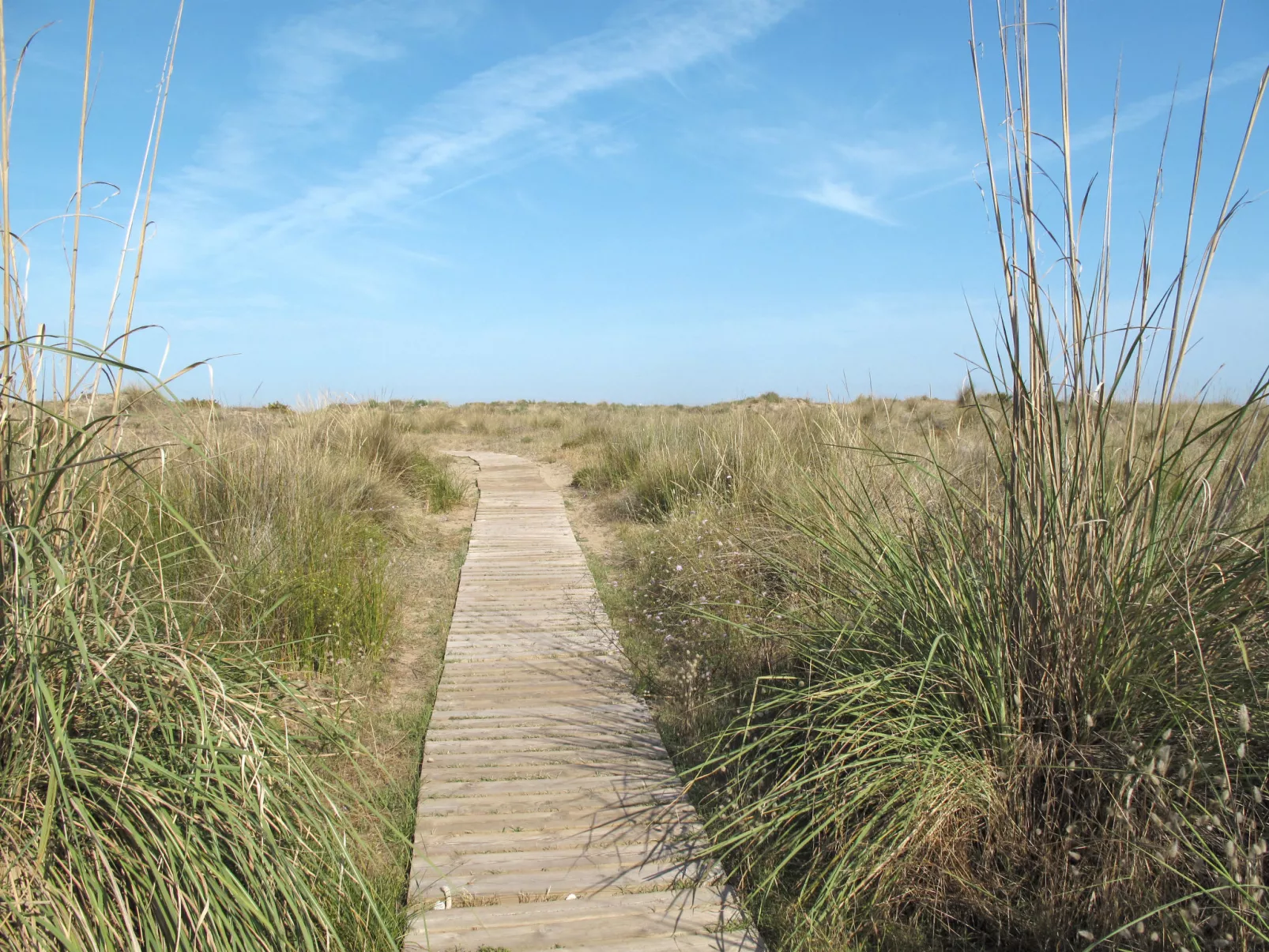 Luxuswohnung in Valencia Stadt-Omgeving